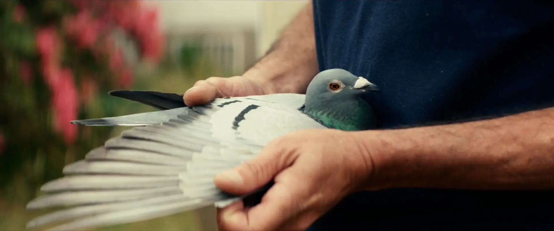 Coming Home – film still 2