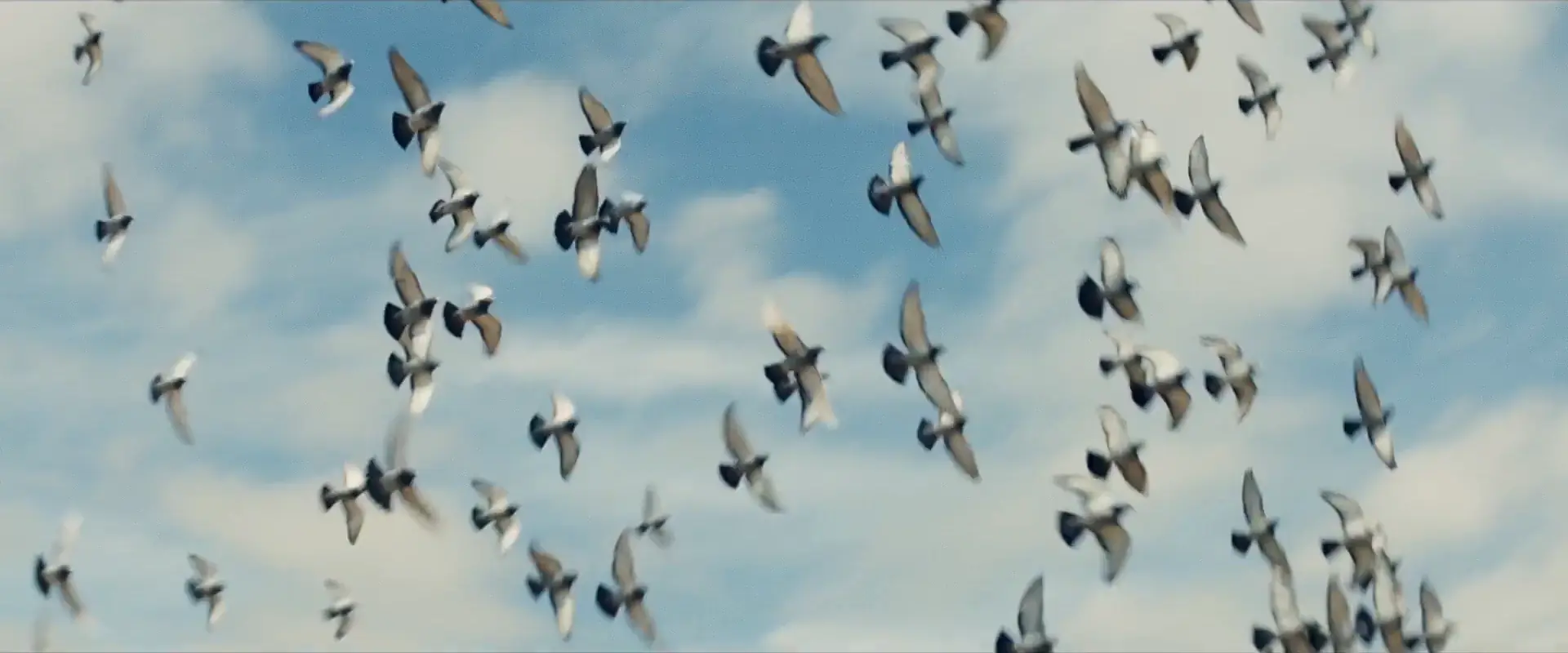 Coming Home – film still 4